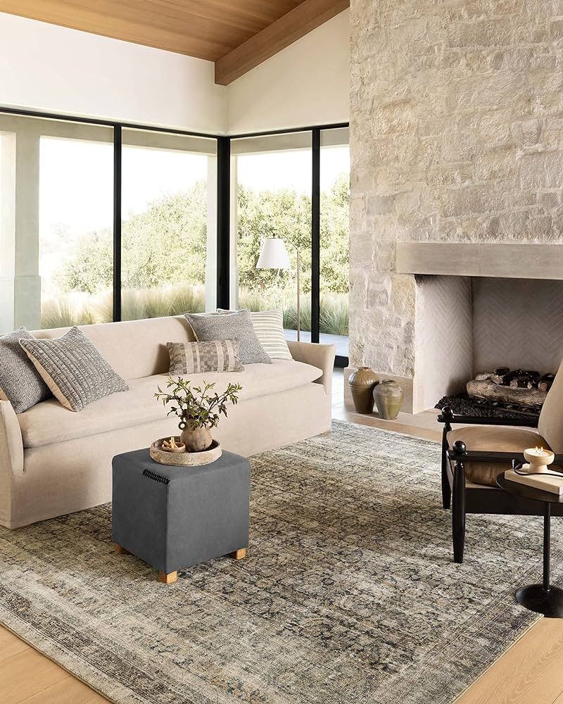 Loloi Amber Lewis x Morgan Navy/Sand 8'-3" x 11'-3" Area Rug | Amazon (US)