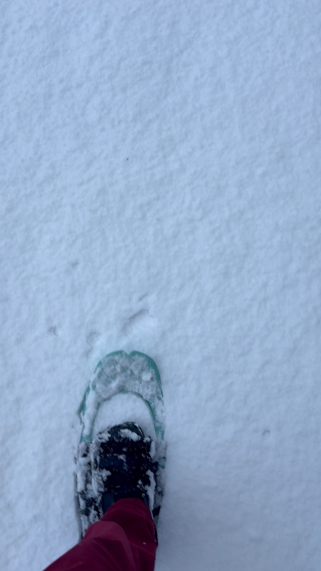 Let’s play in the snow! 

#LTKTravel #LTKActive