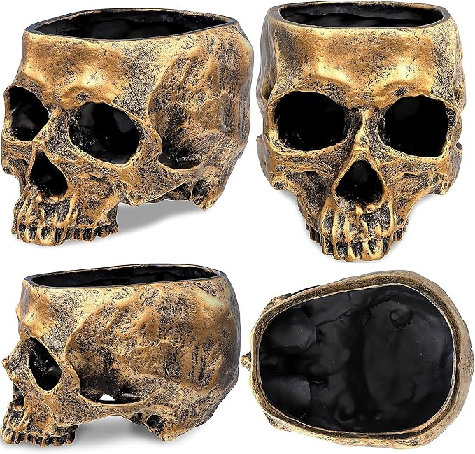 READAEER Resin Skull Bowl, Makeup Brush Organizer, Pen Holder, Planter Flower Pot, Skull Statue f... | Amazon (US)