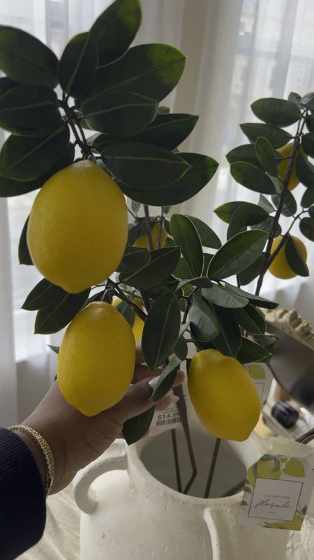 Lemon stems, faux lemon decor , lemon bouquet, summer home decor finds, Amazon Finds, lemon plant 

#LTKhome #LTKVideo #LTKSeasonal