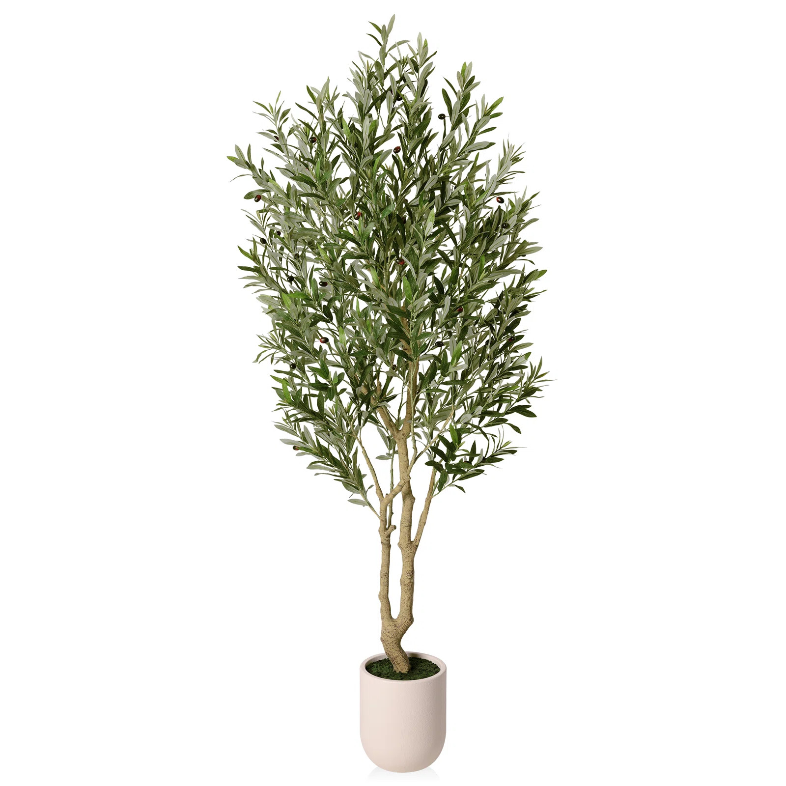 Ashwell Artificial Olive Tree 6/7/ 8.2Ft Tall Indoor Decor - Realistic Faux Greenery Plant With R... | Birch Lane