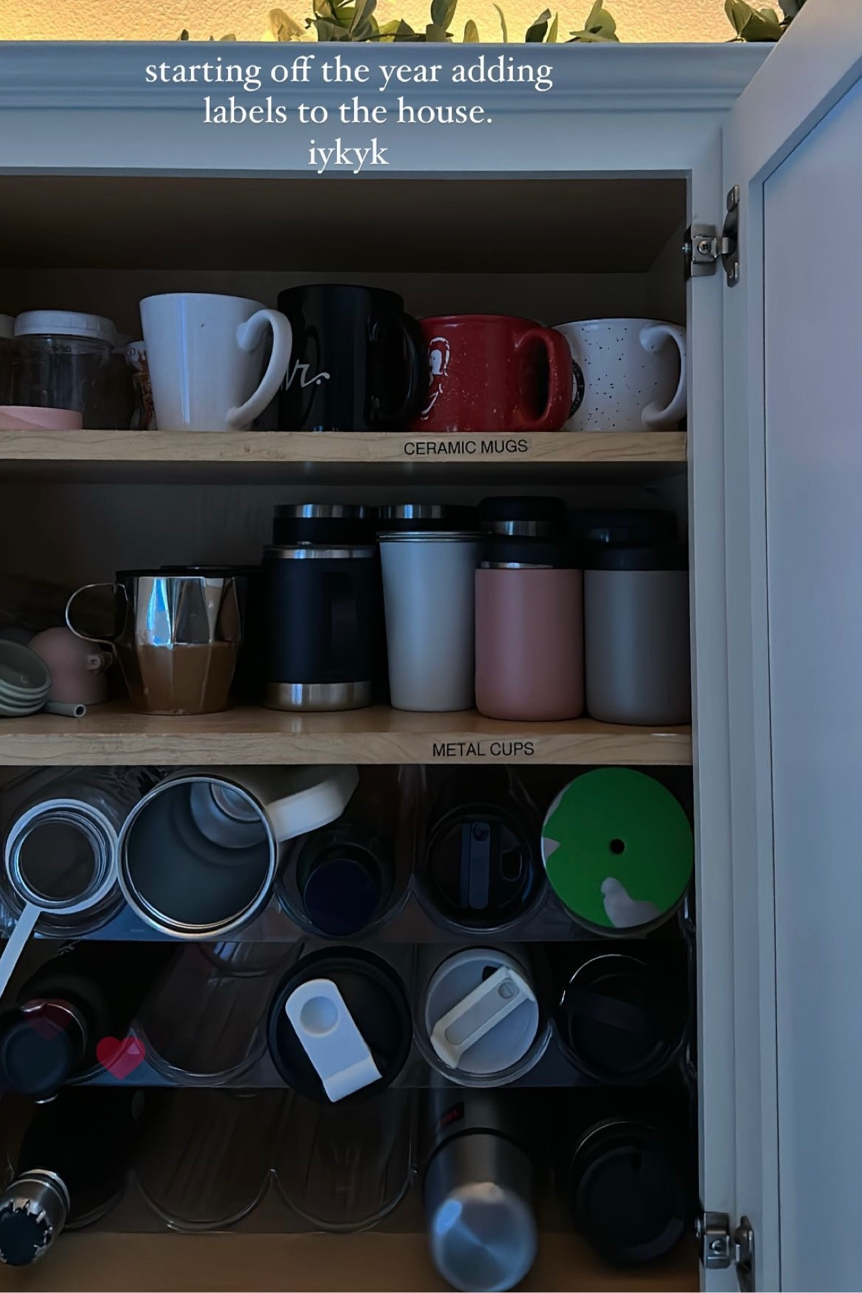 Bottle organizer 🫶

#LTKSeasonal #LTKfindsunder50 #LTKhome