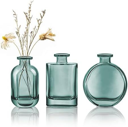 Joeyan Green Glass Bud Vase Set of 3 - Decorative Rustic Flower Vase - Small Bottle Vase Centerpi... | Amazon (US)