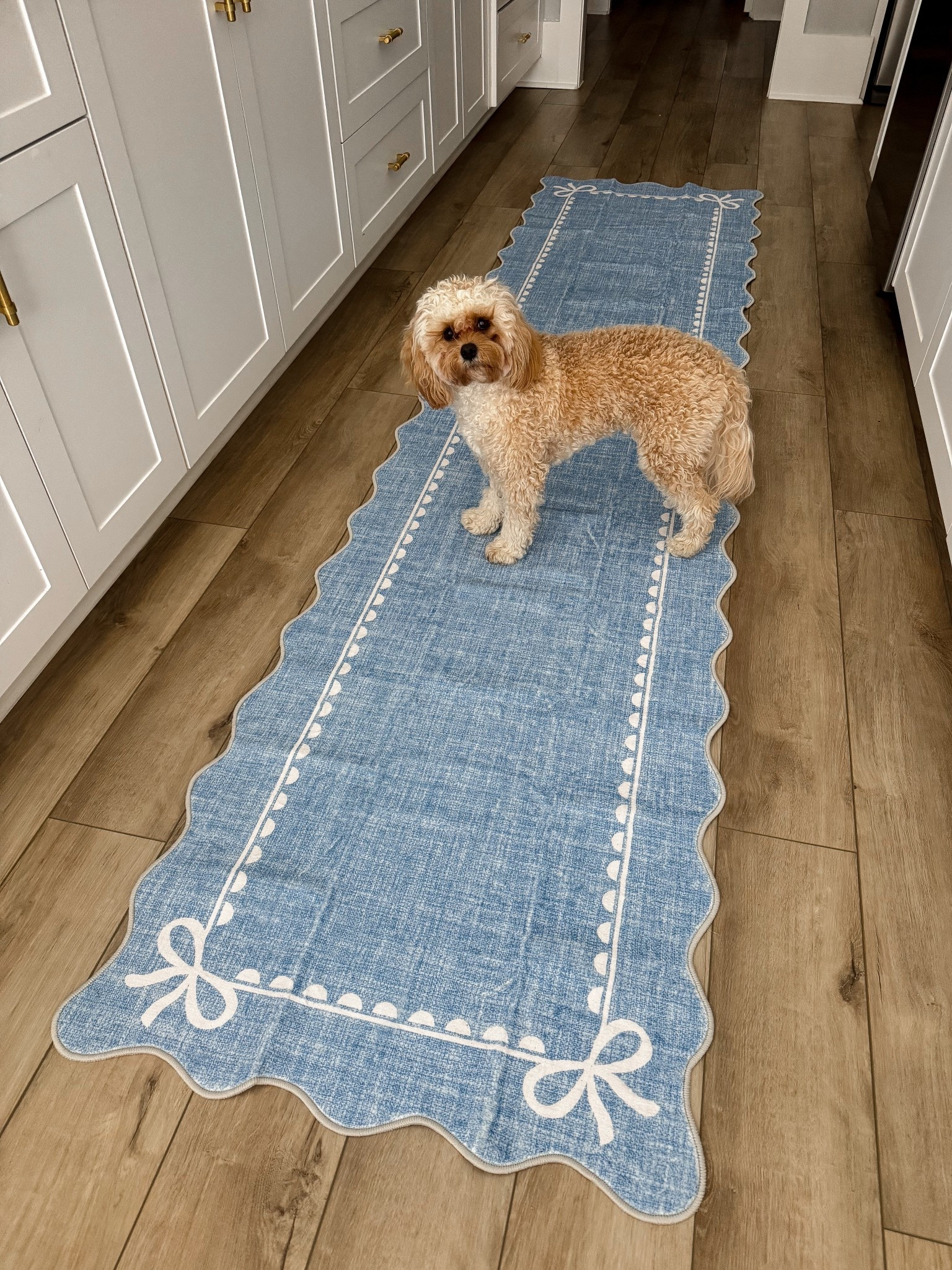 New kitchen find and I am OBSESSED 💙🎀

This scalloped bow kitchen runner is an Amazon find and it is SO good. The quality feels high-end, the fabric is soft but durable, and it’s completely washable (major win for busy kitchens + mom life 🙌). It also has a non-slip backing, so it actually stays in place on hardwood floors 👏🏼

The scalloped edges and sweet bow detail give it that feminine, custom look without the custom price tag. It instantly brightened up my kitchen and adds the prettiest pop of blue 🤍

✔️ Affordable Amazon home find
✔️ Washable kitchen runner rug
✔️ Non-slip backing
✔️ Scalloped edge + bow detail
✔️ Perfect for kitchens, laundry rooms, or hallways

If you’ve been looking for a cute washable kitchen rug that’s practical AND pretty, this one is such a good find 💫

#amazonhome #amazonhomefinds #kitchenrunner #kitchenrug #washablerug #amazonfinds #blueandwhite #scallopeddecor #bowdecor #kitcheninspo #homedecorfinds #affordablehome #momlifehome

#LTKdayinmylife #LTKHome