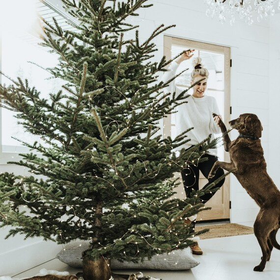 Copper Twinkle Lights | Etsy Canada | Etsy (CAD)