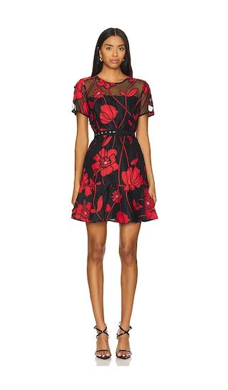 Rosie Grand Fleur Dress in Red | Revolve Clothing (Global)