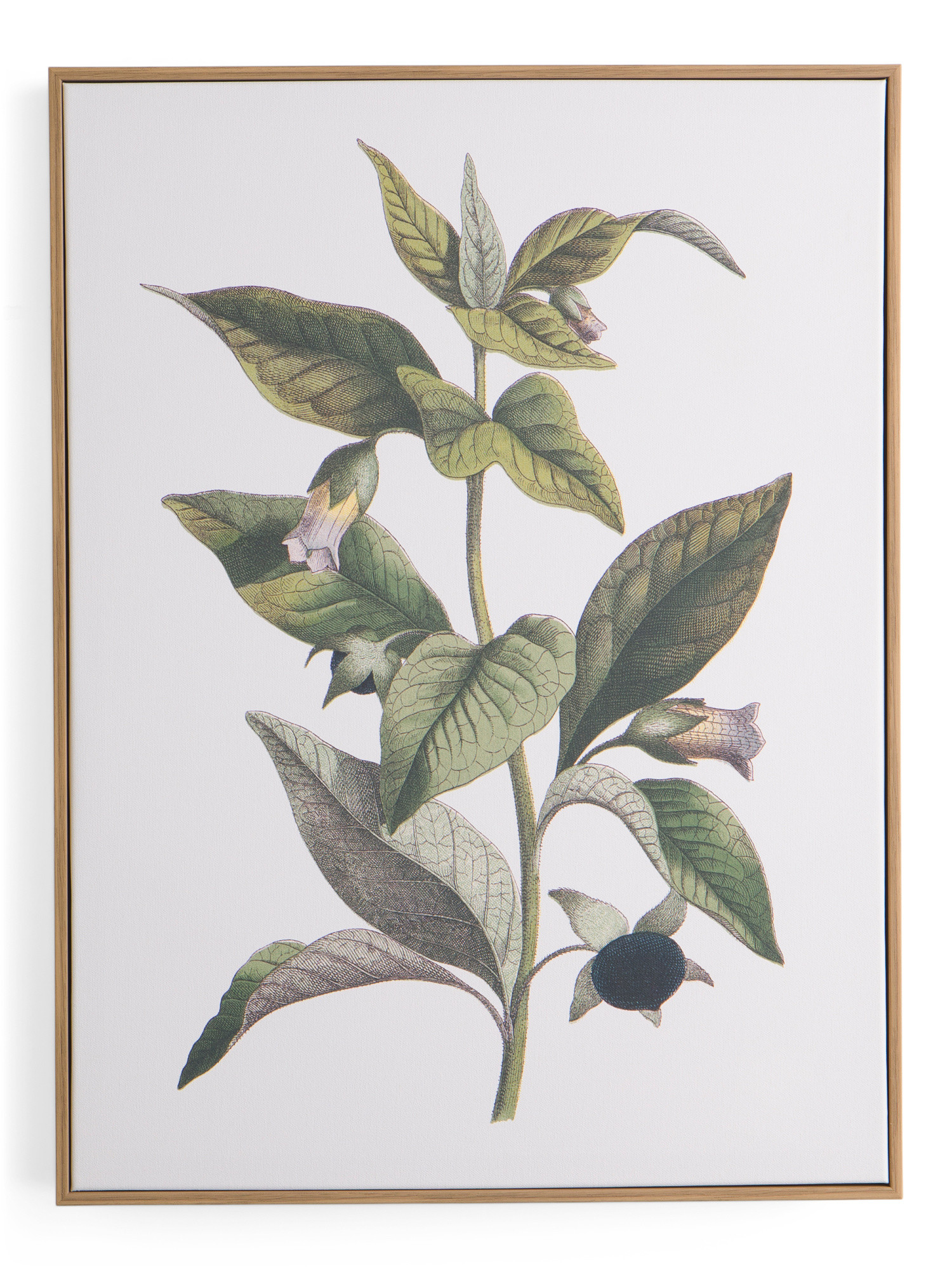 18x24 Nightshade Portrait Framed Wall Art | Marshalls