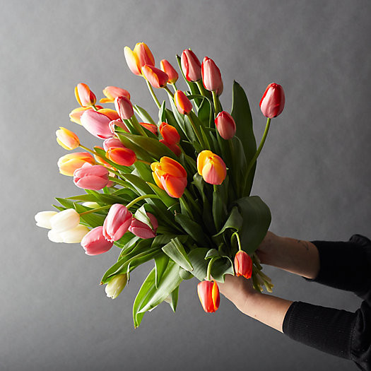 Fresh Mixed Tulip Bunch | Terrain