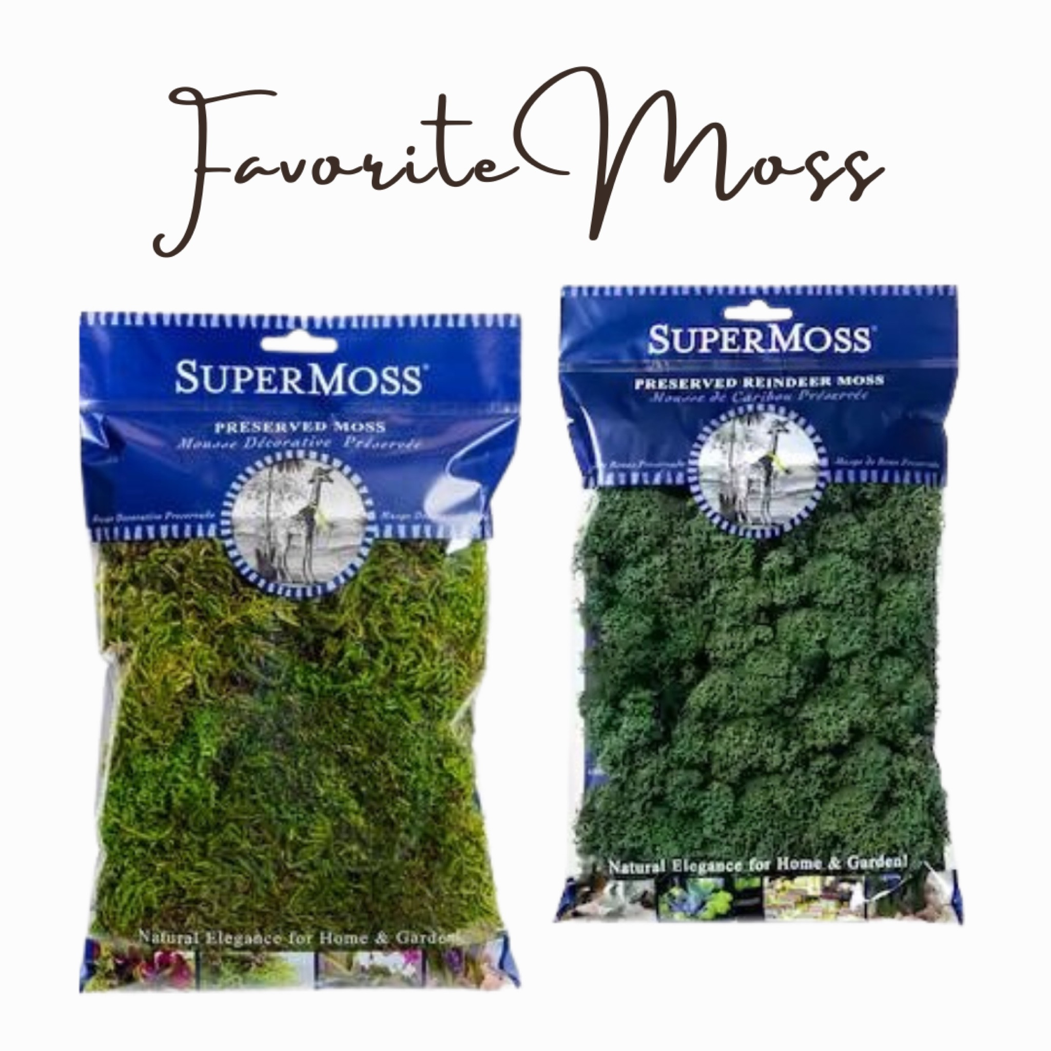These are the two types of moss I use the most when decorating- great to cover plants and faux trees. I love the bright green color! 

#LTKhome