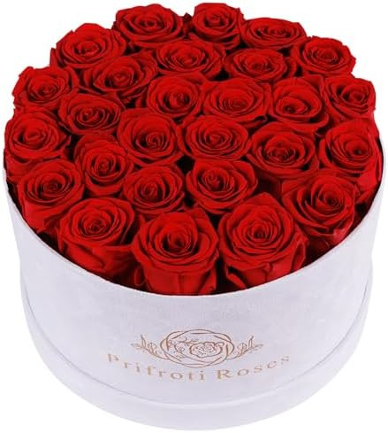 27 Flowers in a Luxury Suede Box, Birthday Gifts for Women, Preserved Flowers, Mothers Day Roses ... | Amazon (US)