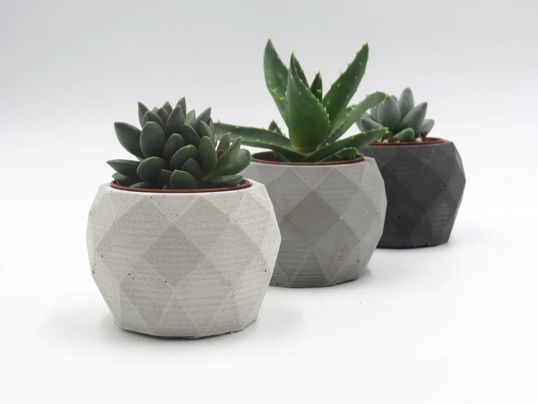 Geometric Concrete Pots - Etsy | Etsy (US)