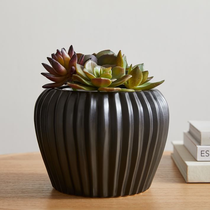 Faux Potted Assorted Succulents | West Elm | West Elm (US)