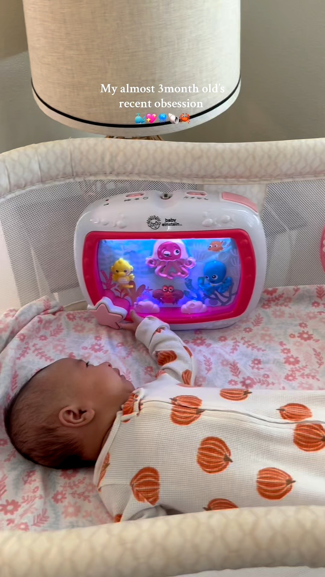 My 3 month olds recent obsession comes in two colors 

#LTKSeasonal #LTKBaby #LTKKids