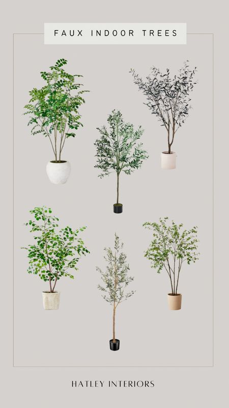 affordable faux indoor trees

perfect for replacing the christmas tree or need to brighten up a corner of a room! 

#LTKFind #LTKhome #LTKSeasonal