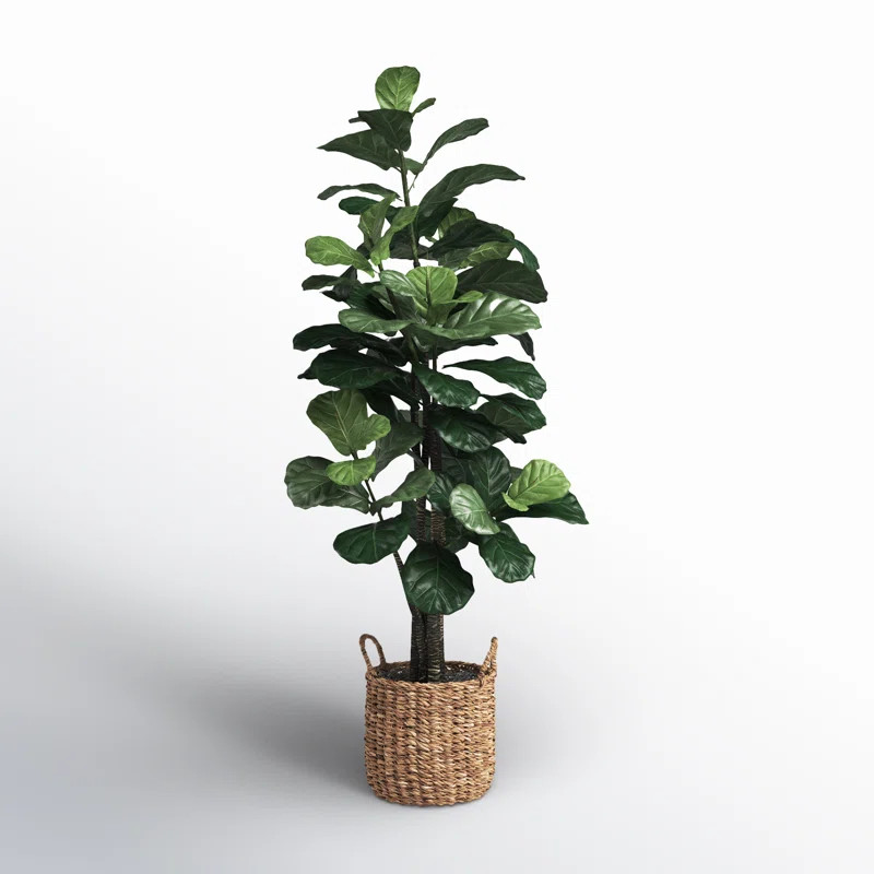 66'' Faux Fiddle Leaf Fig Tree in Wicker/Rattan Basket | Joss & Main