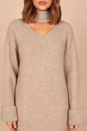 Cosette High Neck Mini Knit Dress - Taupe | Petal & Pup (US)