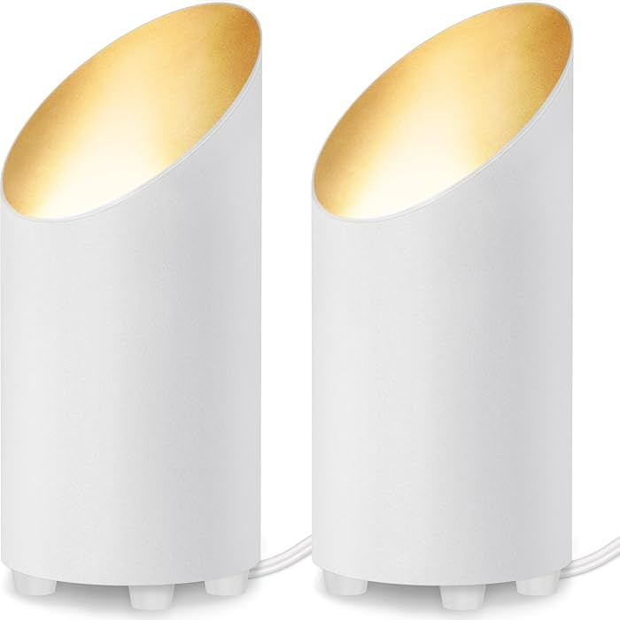 SUNVIE 2 Pack Uplighting Indoor Floor Can Light, 5W Up Lights with 2700K LED GU10 Bulbs, Uplights... | Amazon (US)