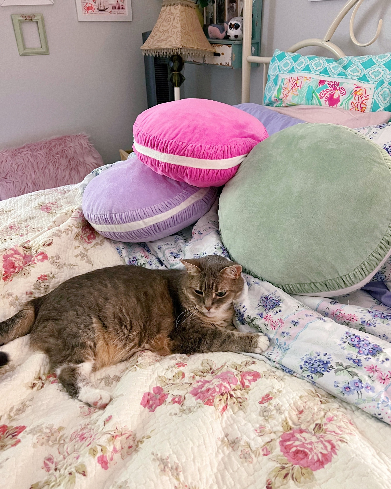 These macaron pillows are under $6/ea! 😮 And they’re really nice quality! Perfect for a girly bedroom or dorm decor. Throw pillow, affordable decor, girl’s bedroom #LTKU 

#LTKunder50 #LTKhome #LTKFind
