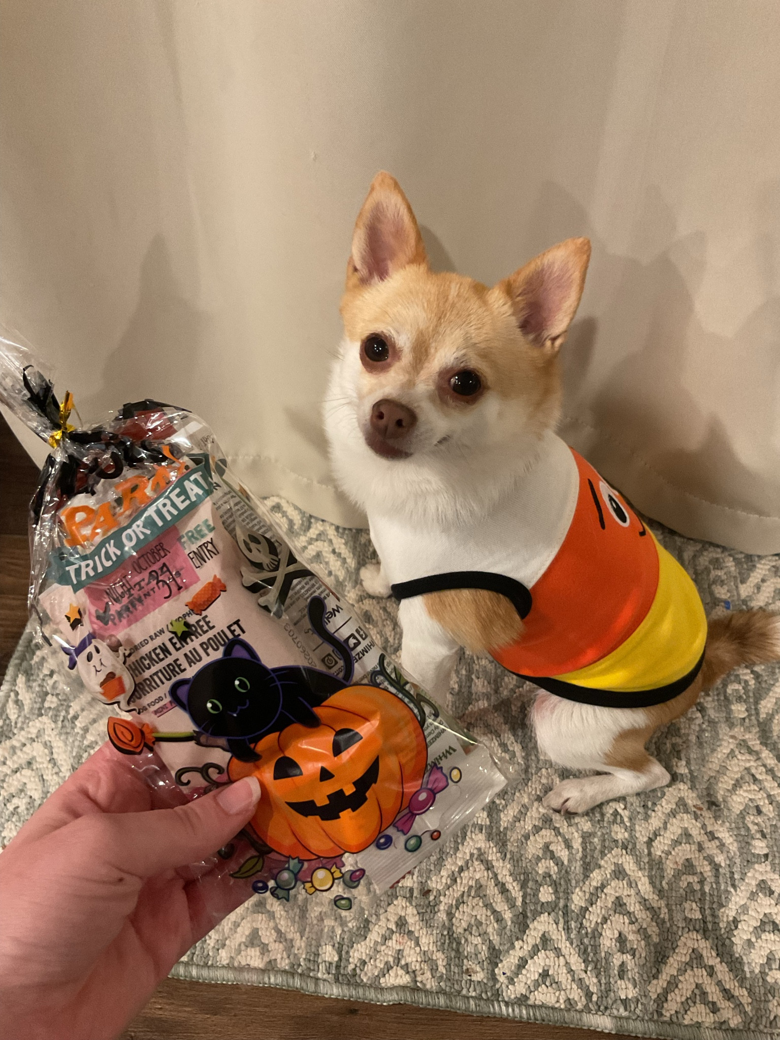 Halloween party fit🎃

#LTKSeasonal #LTKHalloween