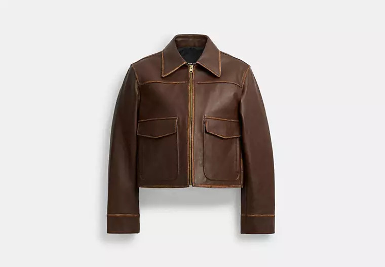 Shrunken Leather Aviator Jacket | Coach (US)