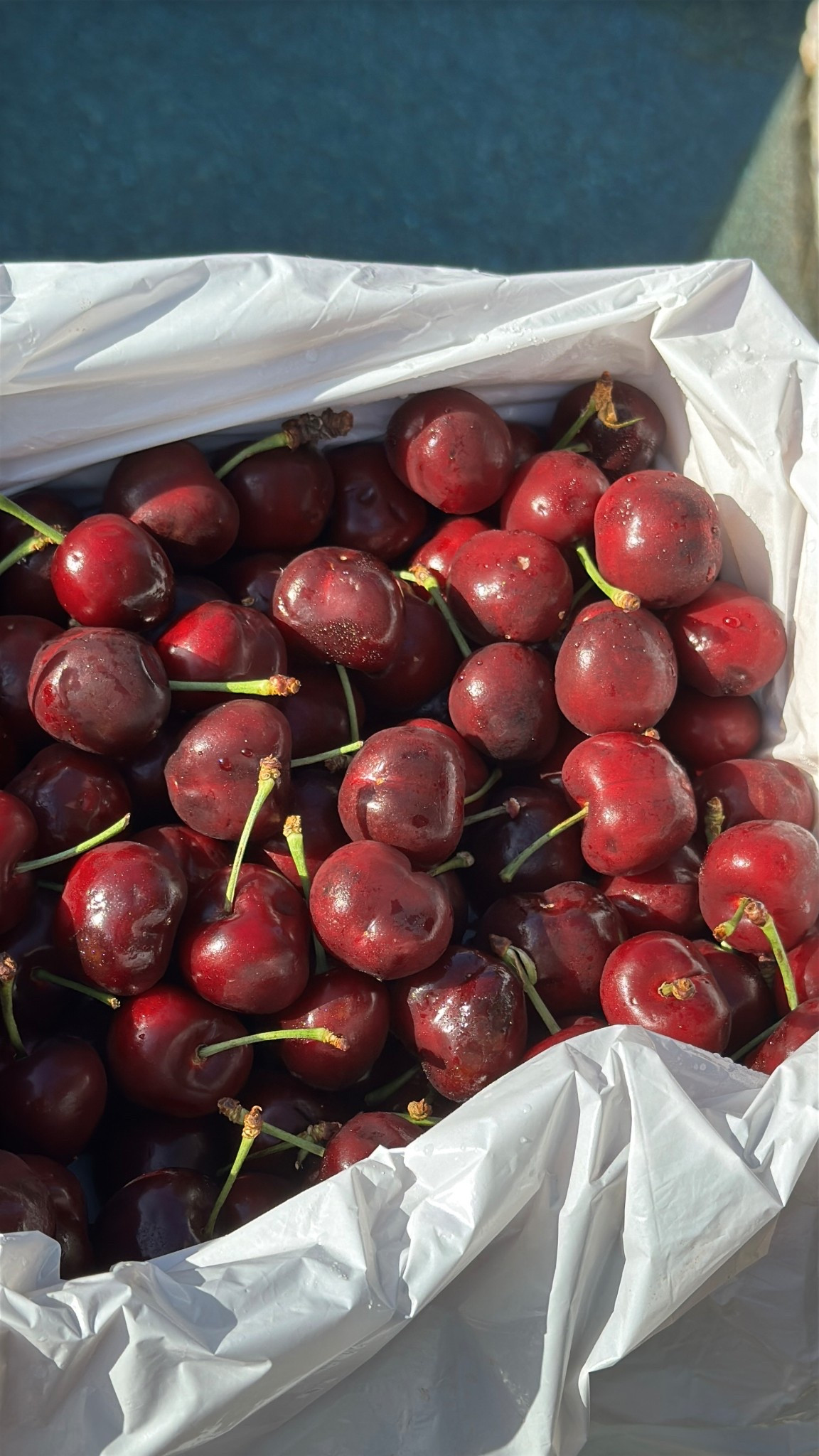 Cherry Week 2025 

#LTKSeasonal #LTKSummerEdit