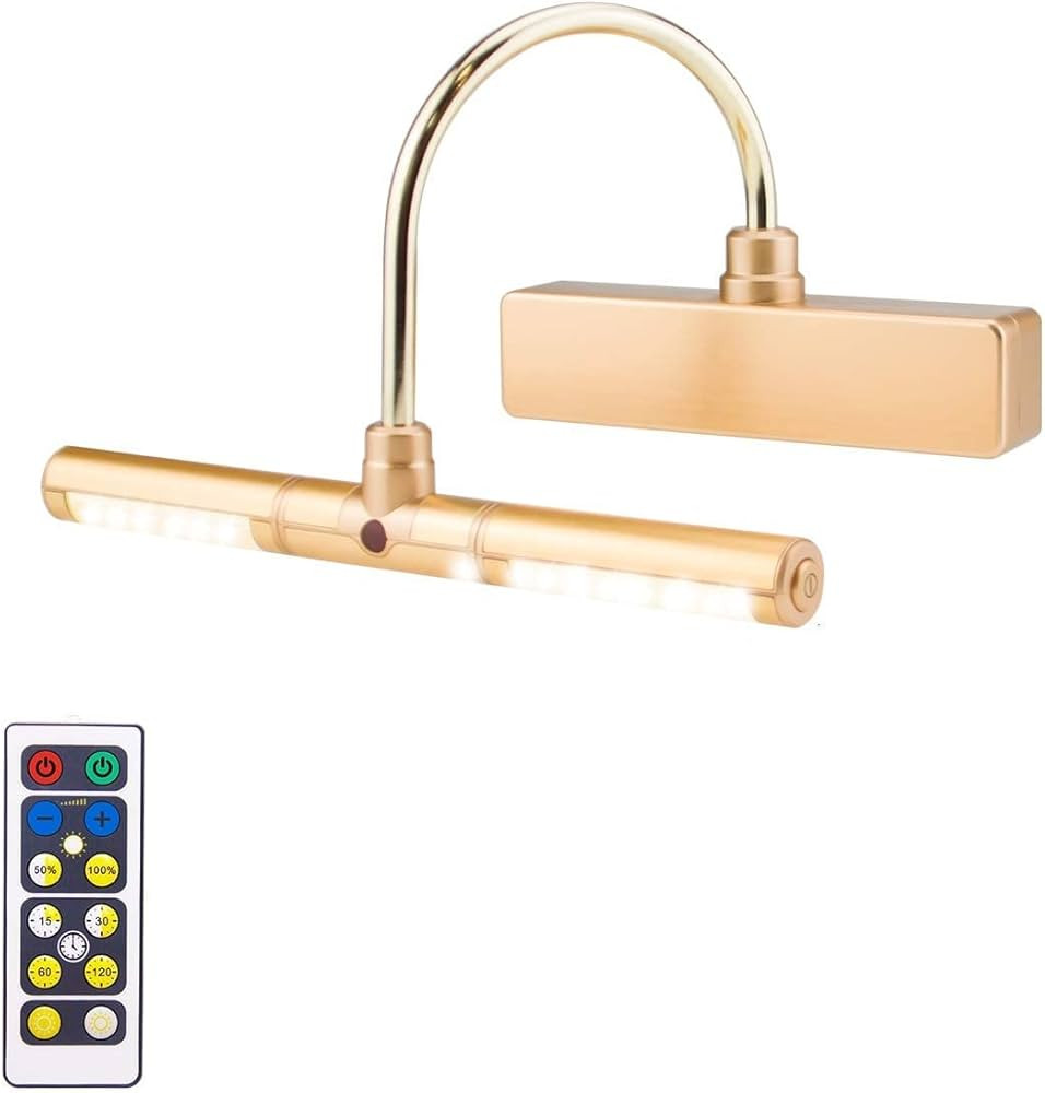 BIGLIGHT Wireless Battery Operated LED Picture Light with Remote, Rotatable Light Heads of 3 Ligh... | Amazon (US)