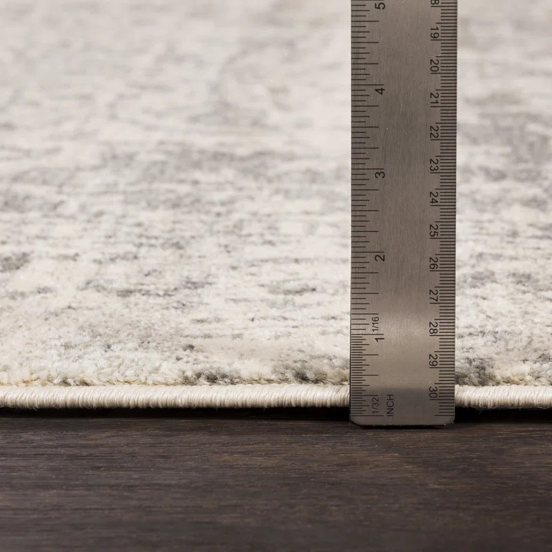 Hillsby Oriental Charcoal/Light Gray/Beige Area Rug | Wayfair North America