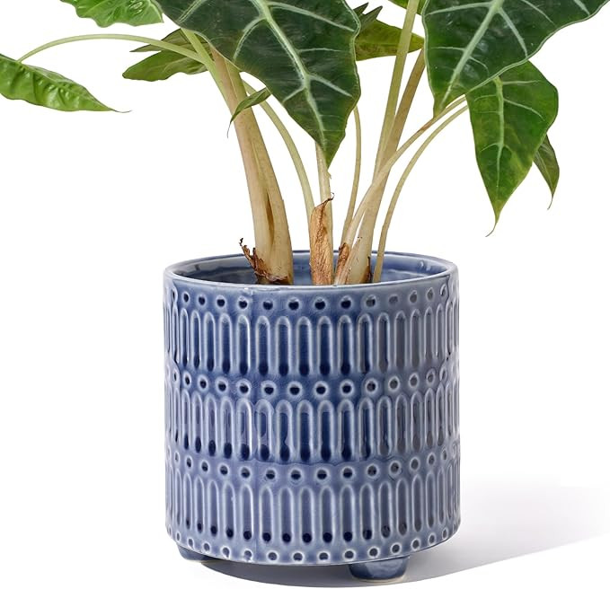 5 Inch Ceramic Planters for Indoor Plants, Blue Cactus Snake Plant Pots with Drainage, Unique Des... | Amazon (US)