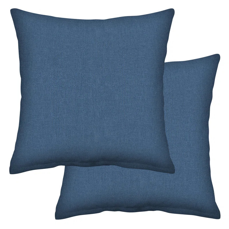 Throw Pillow | Wayfair North America