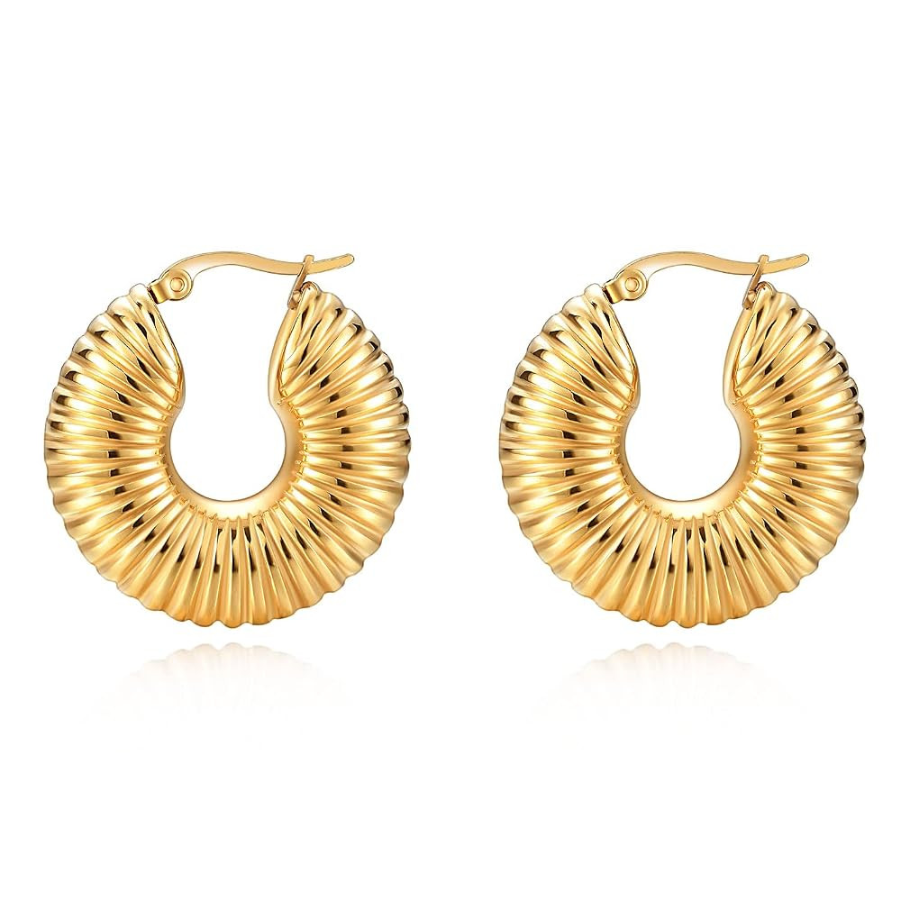 MYNENEY Croissant Earrings Twisted Round Hoop Earrings Chunky Hoop Earrings Silver/Gold Post Earr... | Amazon (US)