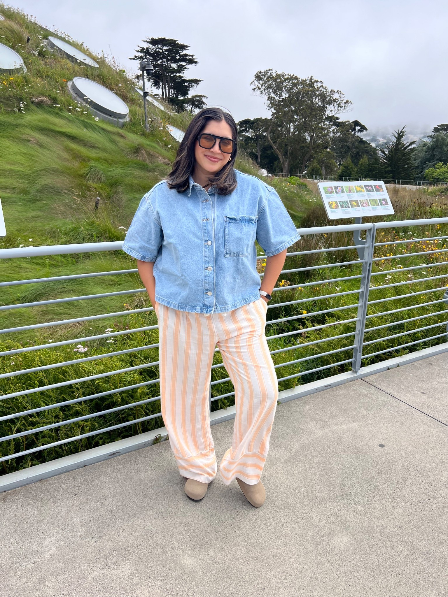 Striped linen pants, denim shirt 

#LTKSummerEdit