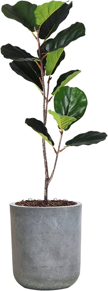 SANDYBAYTAS Round Concrete Planter, 8 Inch Plant Pot with Drainage Hole, Large Cement Planter Con... | Amazon (US)