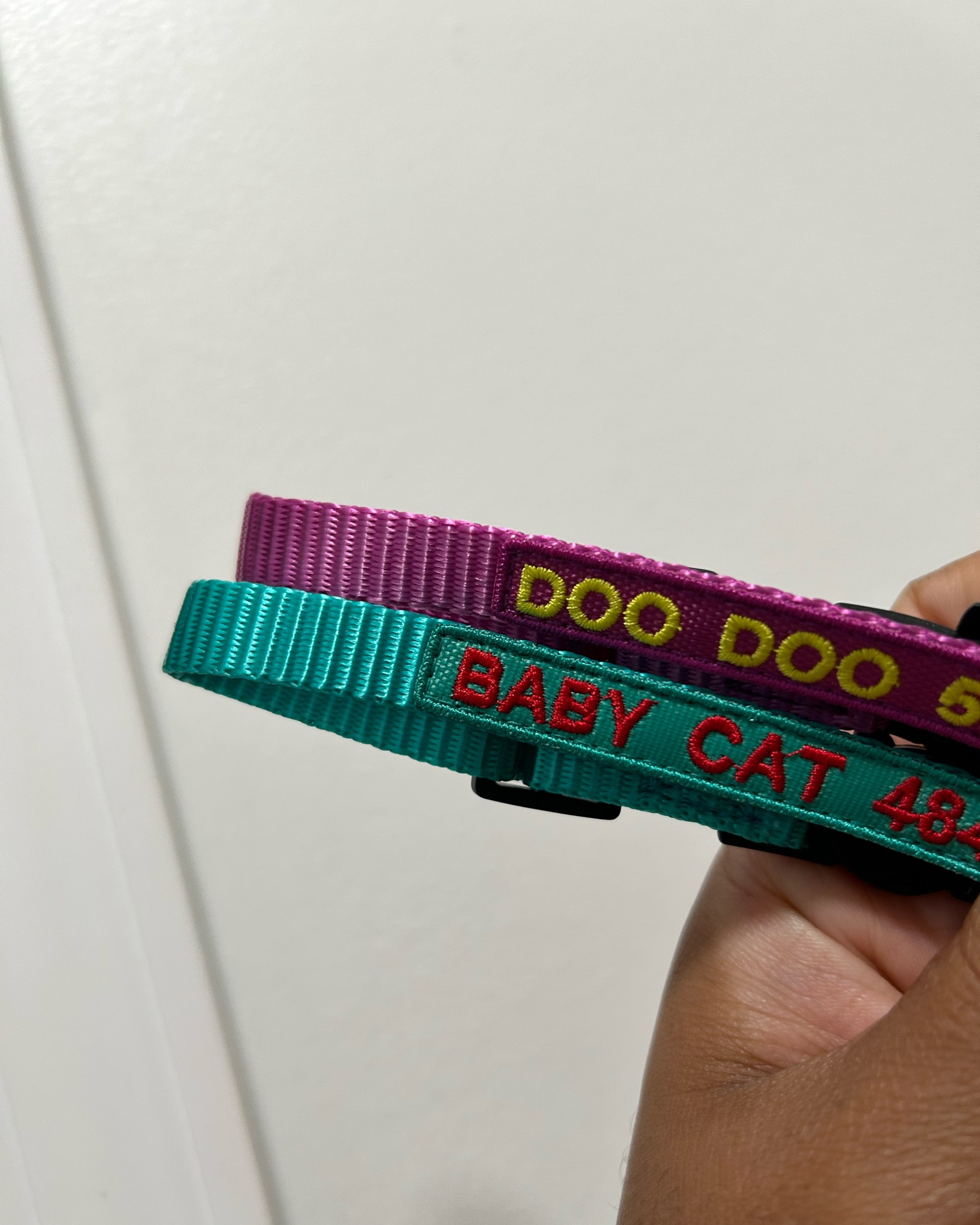 Custom cat collars for my girls 

#LTKunder100 #LTKfamily #LTKunder50