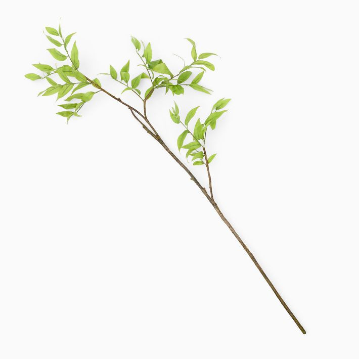 Faux Sweet Bay Magnolia Branch | West Elm (US)