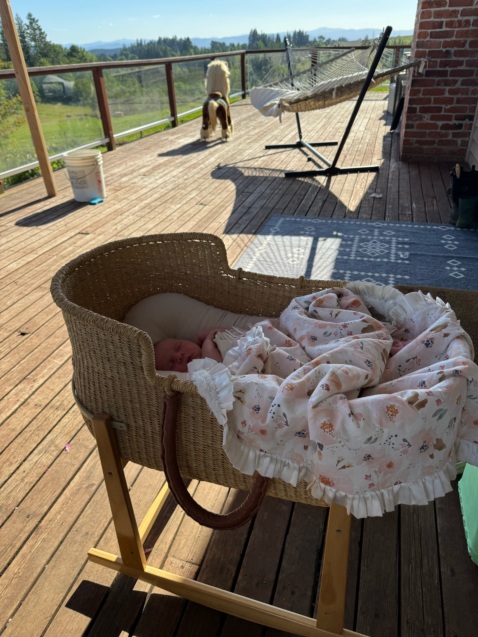 The best newborn lounge set up for summer days☀️ I love this bassinet in and out of the house so easily and you can lift the basket part off the top. We put the snuggled lounger inside and it fits perfect! Our girl loves it🫶🏻 Also love our hammock. 

#LTKBaby #LTKSeasonal #LTKFamily