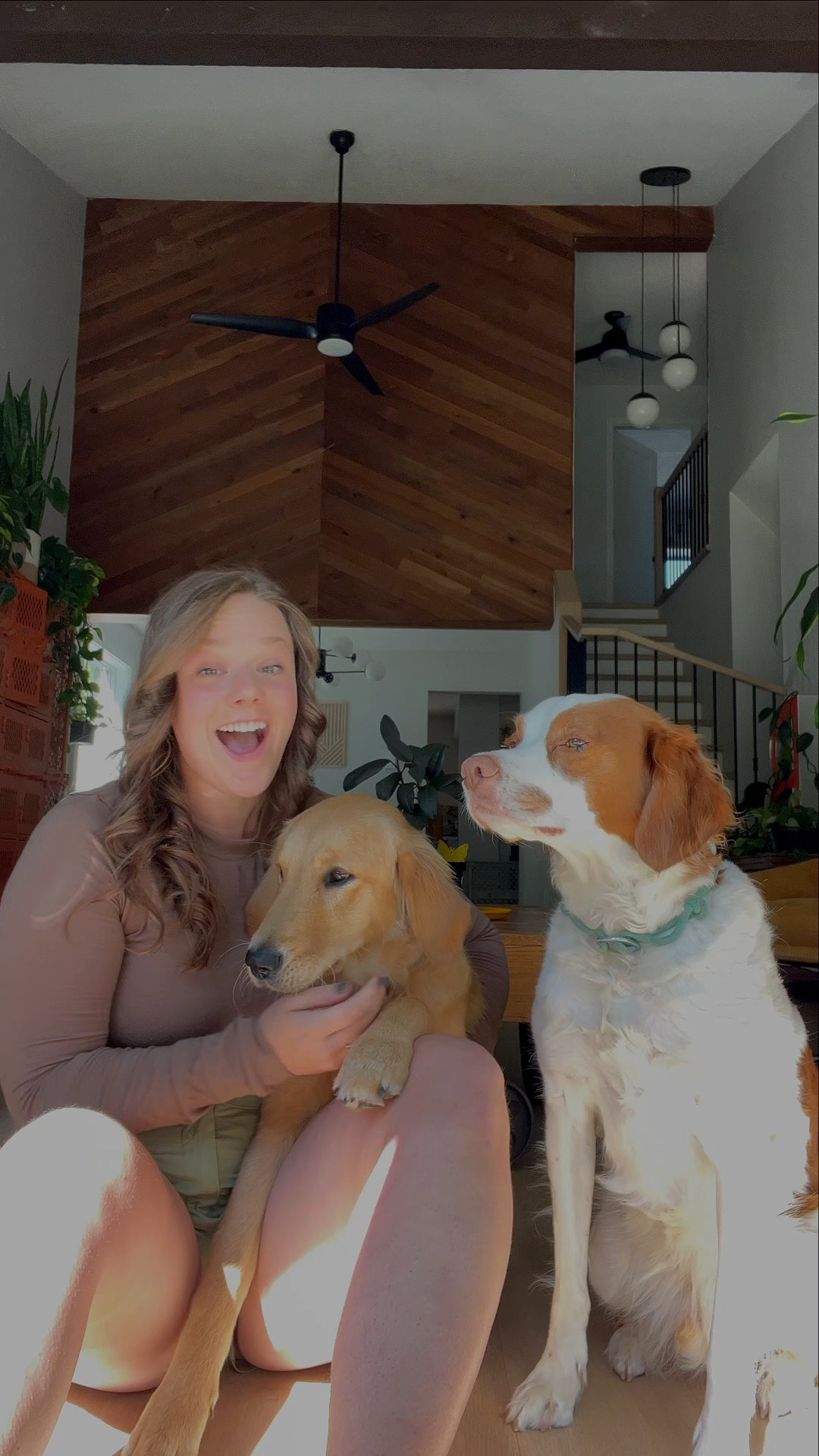 Who says having a dog means sacrificing a clean home? Not this dog mom! 🐶🐶With my 
@Dyson V8 Absolute, cleaning up pet hair has never been easier. This lightweight, cordless vacuum is 
engineered for homes with pets and even detangles wrapped hair as I clean. Plus, it's Canada's #1 
Vacuum brand for 10 years in a row! 
From carpets to hard floors, this vacuum cleans it all. And the best part? It converts to a handheld for 
cleaning cars, stairs, and upholstery. Say goodbye to pet hair and hello to a clean home!
#Dyson #Liketkit @shop.ltk https://liketk.it/4ieKz