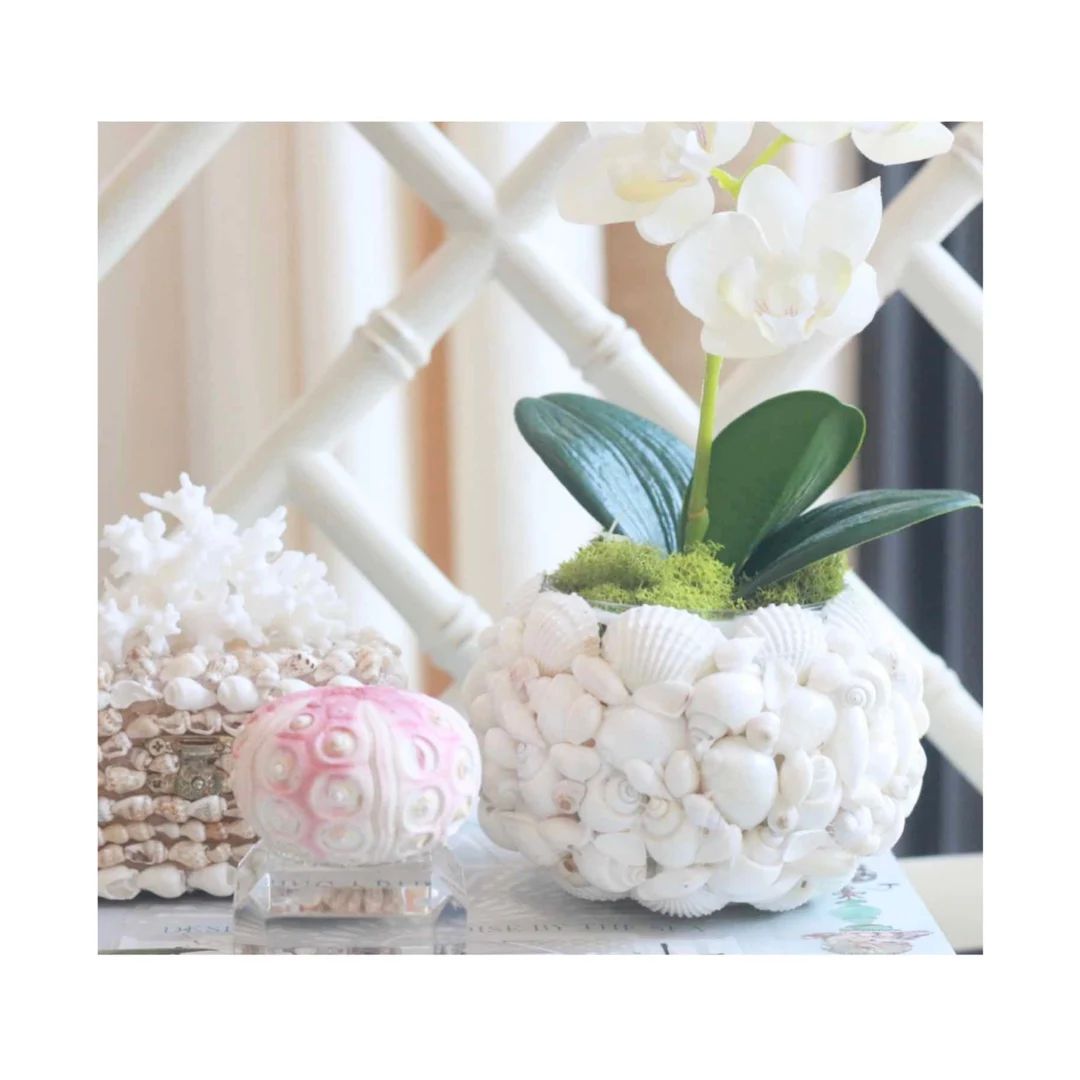mini white artificial orchid in seashell votive | Etsy (CAD)
