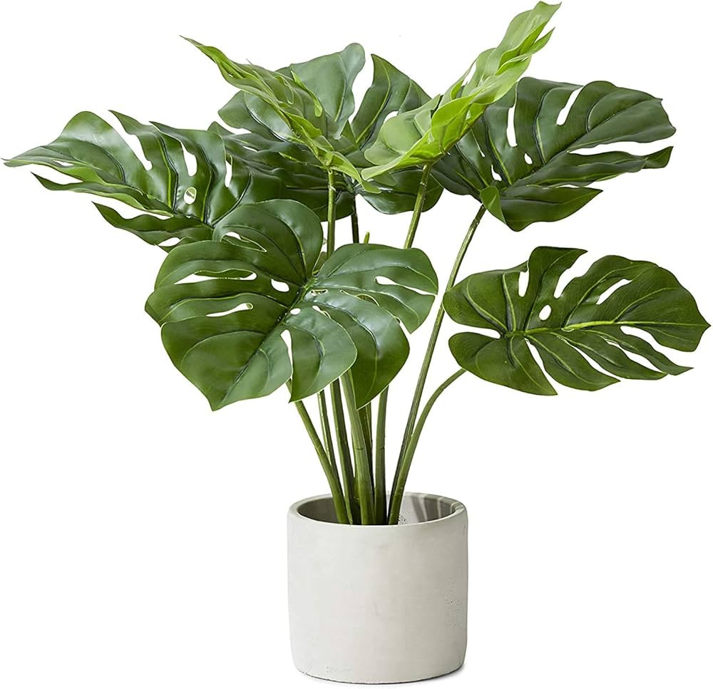 Serene Spaces Living Real Looking Artificial Monstera Plant in Cement Pot, Medium Sized Faux Plan... | Amazon (US)