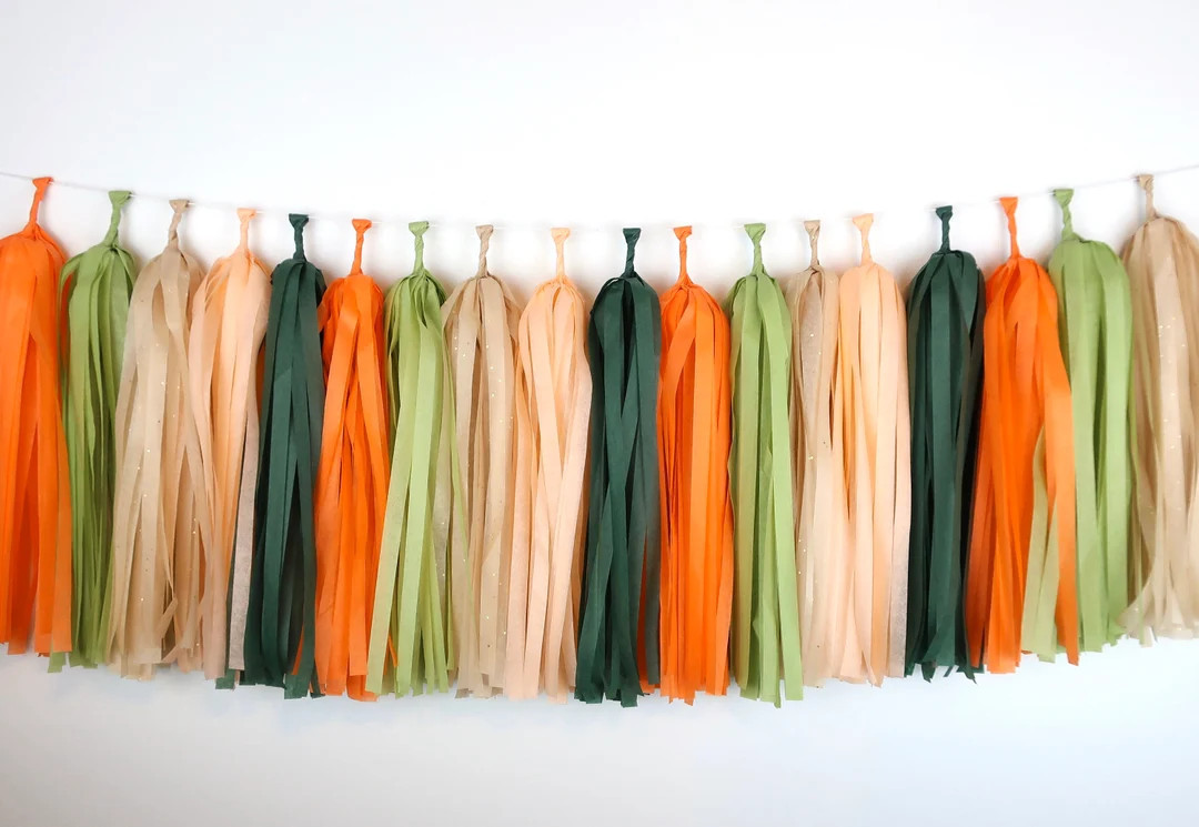Hey Cutie Tassel Garland Little Cutie Baby Shower Oh Darling Clementine Orange Green Bachelorette... | Etsy (US)