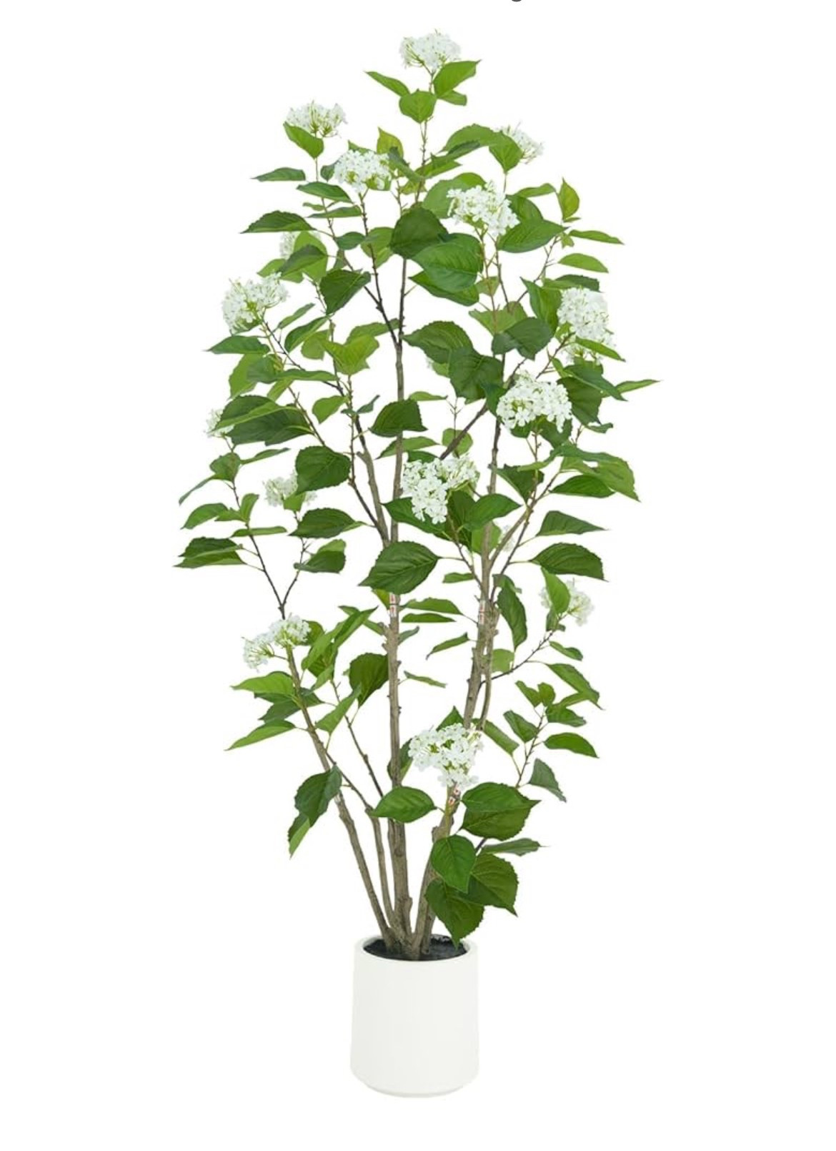 Just ordered this to go in my Chinoiserie umbrella vase in my dinning room!! Can’t wait to style it!! 

#LTKParties #LTKHome #LTKStyleTip