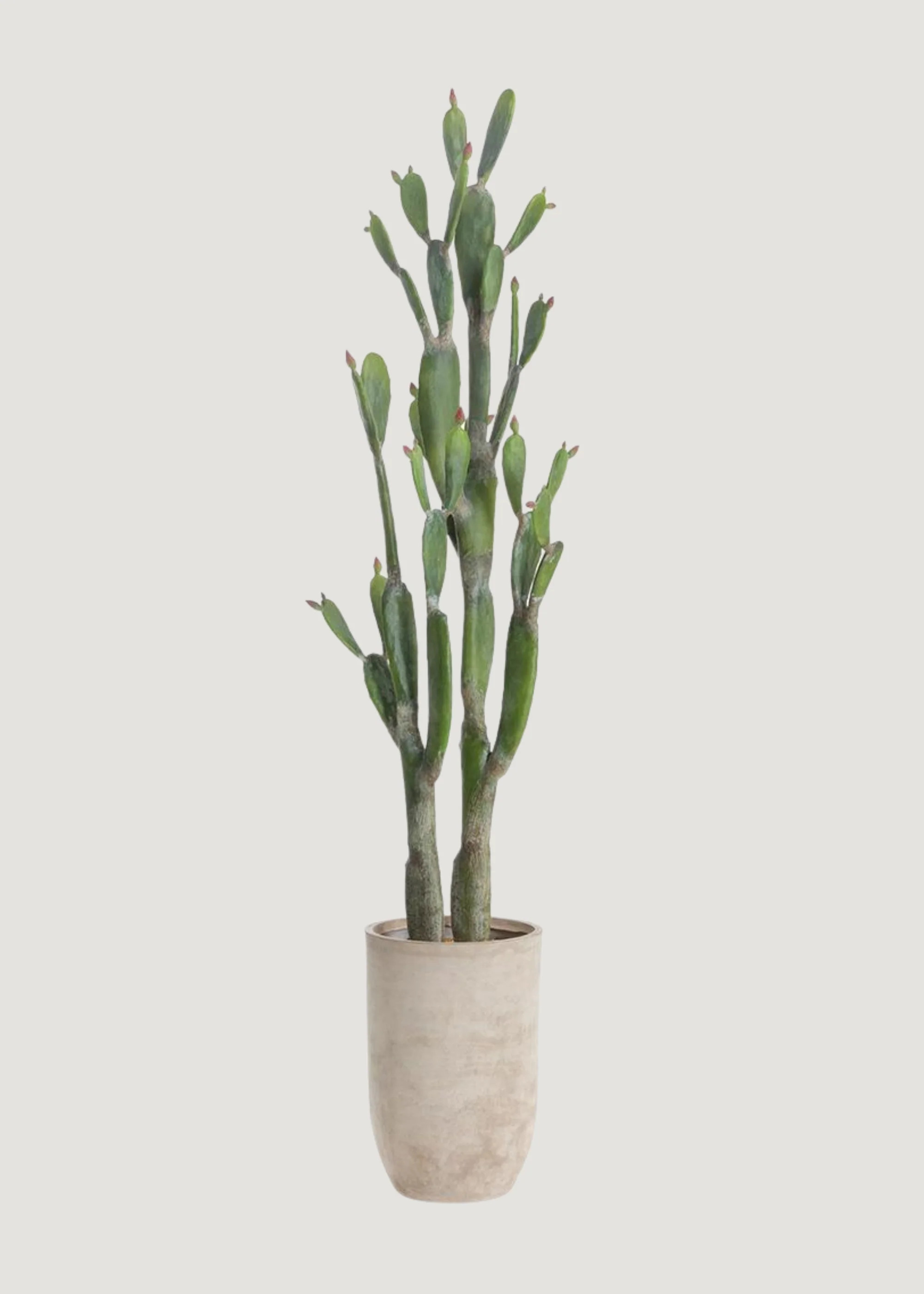 Tall Cactus Fake Potted Plant in Cement Planter - 90" | Afloral
