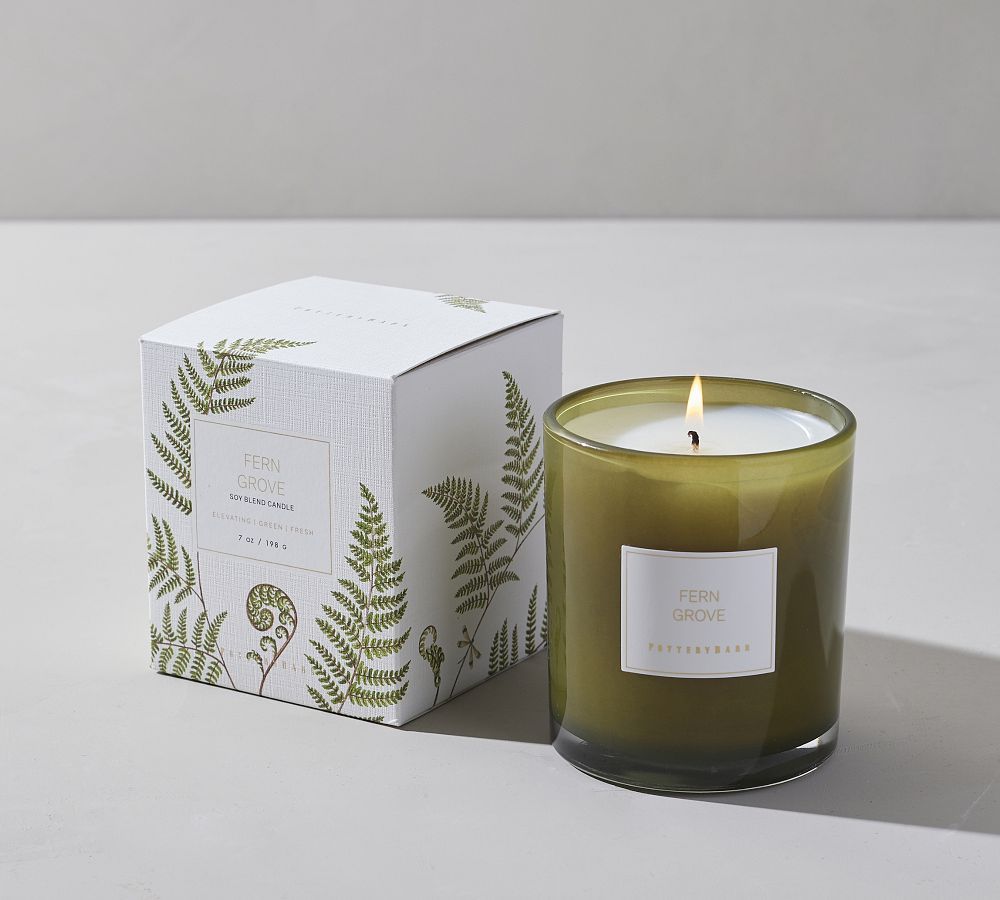Fern Grove Scent Collection | Pottery Barn (US)