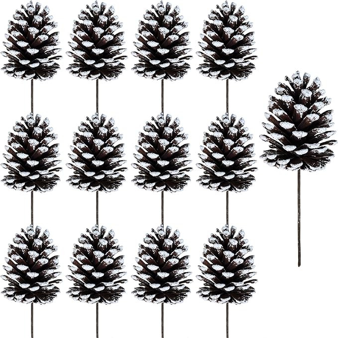 Winlyn 12 Pcs Frosted Pinecone Picks Christmas Pine Cones Sprays White Tipped Medium Pinecones St... | Amazon (US)