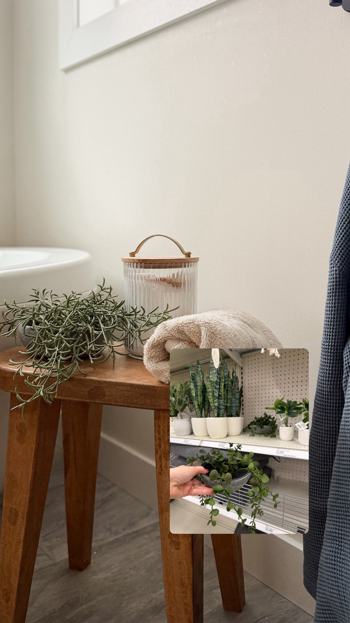 Love these mini plants to add anywhere and fill space around the home! On sale this week and always sell out! 

#LTKSaleAlert #LTKHome #LTKSeasonal