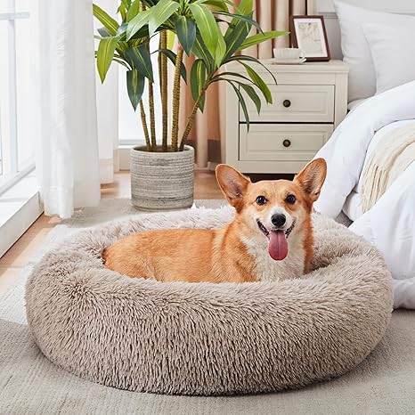 WESTERN HOME WH Calming Dog & Cat Bed, Anti-Anxiety Donut Cuddler Warming Cozy Soft Round Bed, Fl... | Amazon (US)