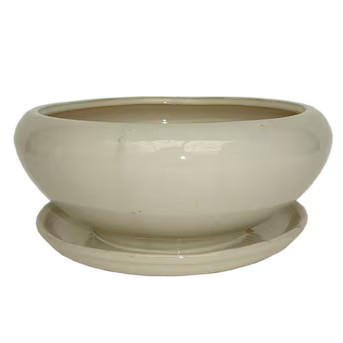 allen + roth Round 10.2-in W x 4.49-in H White Ceramic Contemporary/Modern Indoor/Outdoor Low Bow... | Lowe's