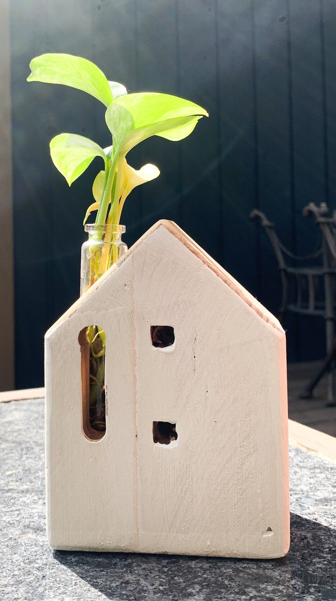 Unique Vase, Housewarming Gift, First Time Home Buyer Gift, Propagation Station - Etsy | Etsy (US)