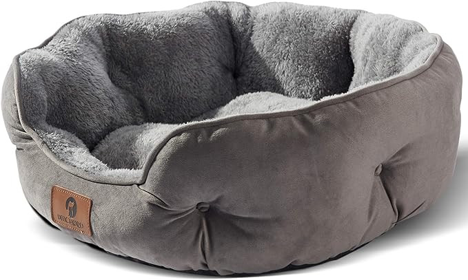 Asvin Small Dog Bed for Small Dogs, Cat Beds for Indoor Cats, Pet Bed for Puppy and Kitty, Extra ... | Amazon (US)