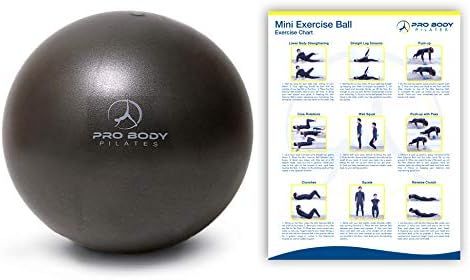 ProBody Pilates Mini Exercise Ball - 9 Inch Small Bender Ball for Stability, Barre, Pilates, Yoga, B | Amazon (US)