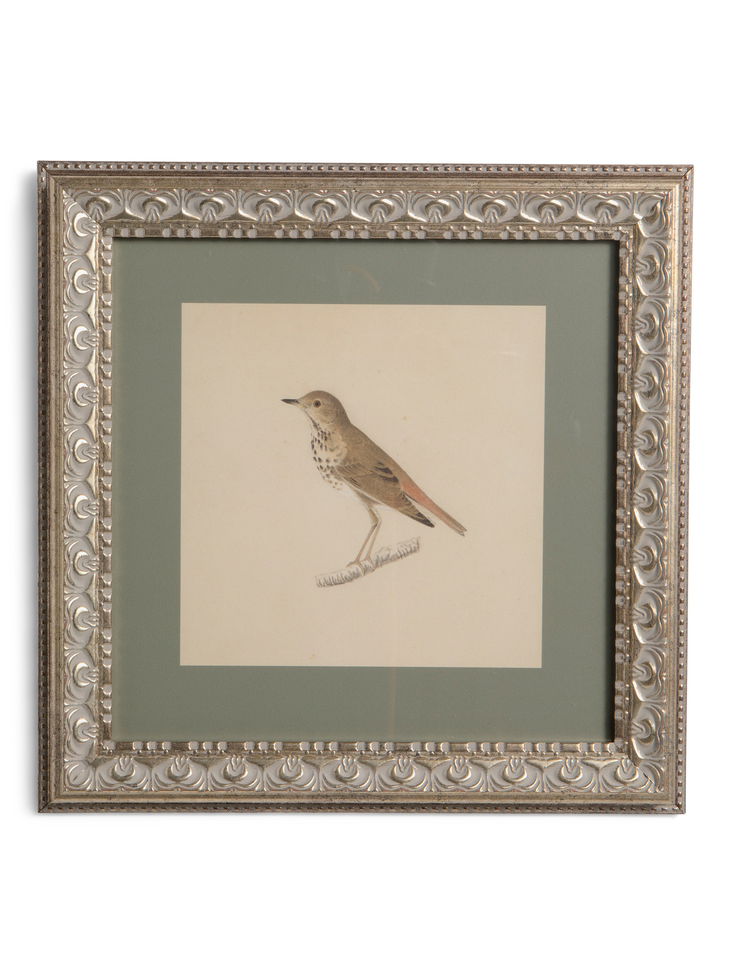 12x12 Matted To 6.5x6.5 Bird Wall Art | TJ Maxx
